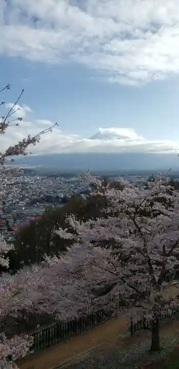 新倉富士浅間神社(山梨県)