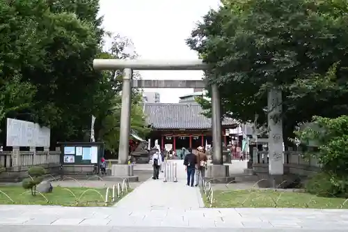 浅草神社の鳥居