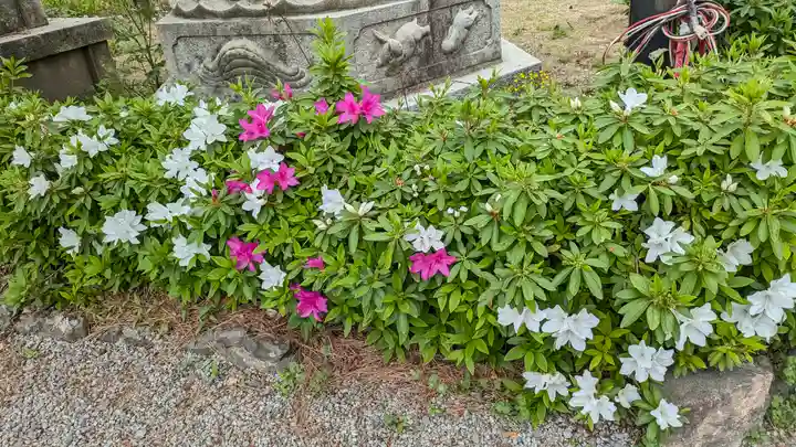 道明寺天満宮(大阪府)