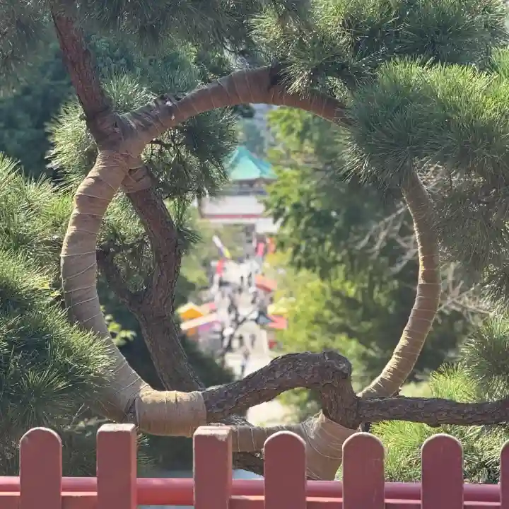 清水観音堂(東京都)
