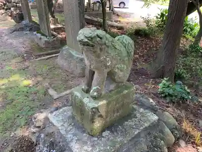 塚崎香取神社の狛犬