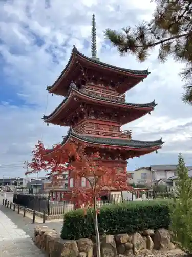 遍照院の建物その他