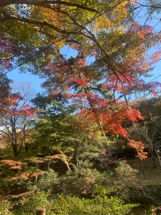 養老神社(岐阜県)
