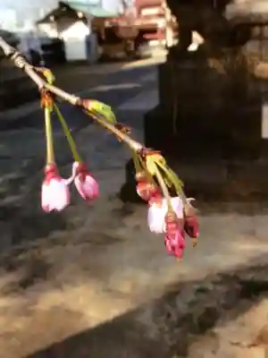 諏訪神社(東京都)