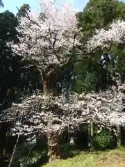 雷電神社(山形県)