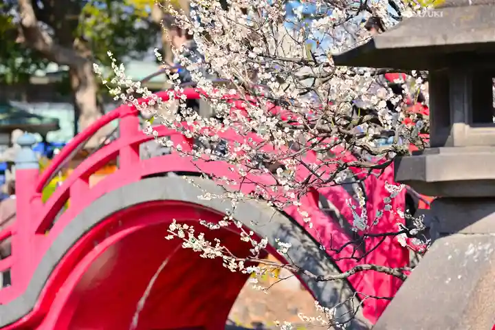 亀戸天神社(東京都)