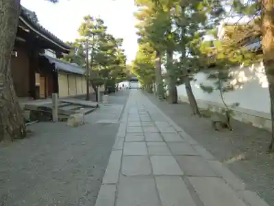妙心寺（妙心禅寺）(京都府)