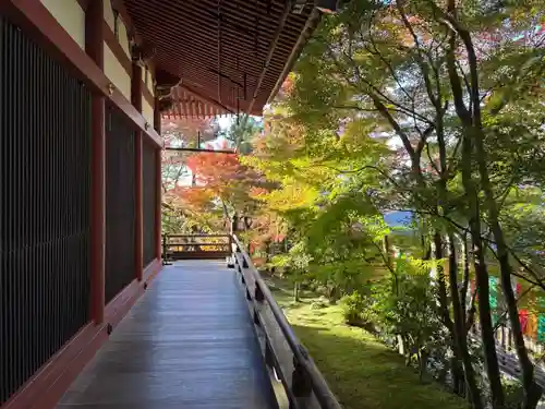 禅林寺（永観堂）(京都府)