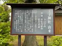 王子神社の{uncategorized: "未分類", other: "その他", undefined: "問題あり", building: "その他建物", grave: "お墓", sacred_gate: "鳥居", guardian: "狛犬", statue: "像", buddha: "仏像", history: "歴史", nature: "自然", garden: "庭園", animal: "動物", pagoda: "塔", temizu: "手水舎", mountain_gate: "山門・神門", sanctuary: "本殿・本堂", subordinate: "末社・摂社", art: "芸術", scenery: "景色", jizo: "地蔵", ema: "絵馬", goshuin: "御朱印", omikuji: "おみくじ", items: "授与品その他", amulet: "お守り", goshuincho: "御朱印帳", eats: "食事", festival: "お祭り", votive_dance: "神楽", shichigosan: "七五三参", wedding: "結婚式", experience: "体験その他", initially: "初詣", around: "周辺", anti_infection: "感染症対策"}
