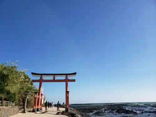青島神社（青島神宮）の自然