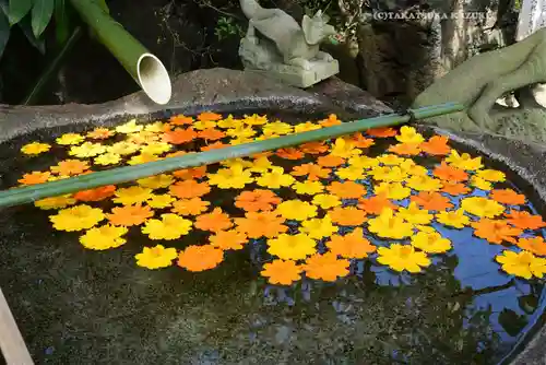 東京羽田 穴守稲荷神社(東京都)