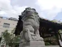 柏神社の狛犬
