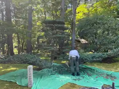 西芳寺(京都府)