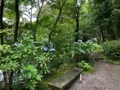 金澤神社の庭園