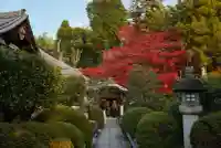 榮攝院(栄摂院)(京都府)
