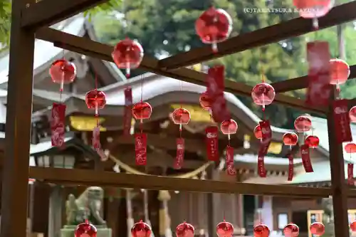 岩槻久伊豆神社(埼玉県)