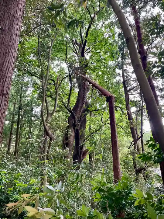 祓戸神社(新潟県)