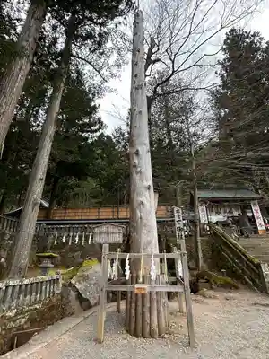 諏訪大社(長野県)