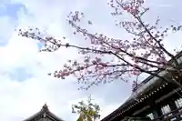 寒川神社の自然