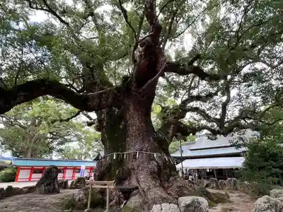 宇美八幡宮(福岡県)