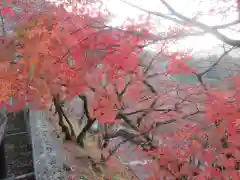 清水寺(京都府)