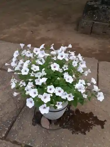 伏木香取神社の自然