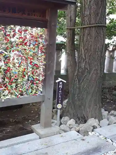 行田八幡神社の自然