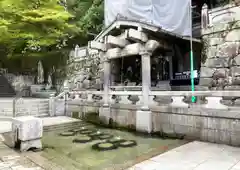 清水寺の庭園