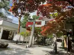 彌彦神社　(伊夜日子神社)(北海道)