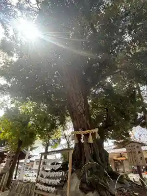 豊川進雄神社(愛知県)