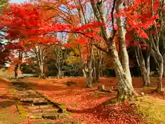 土津神社｜こどもと出世の神さまの景色