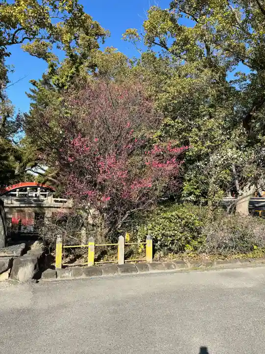 住吉大社(大阪府)