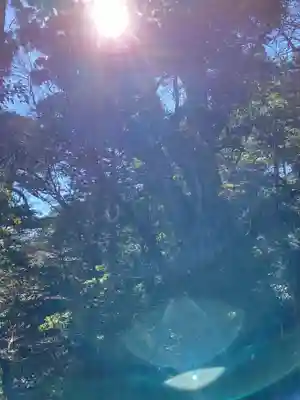 木魂神社(鹿児島県)