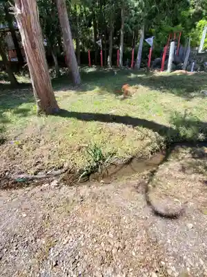樺崎八幡宮(栃木県)
