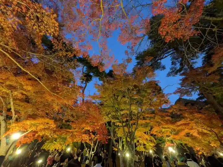 宝登山神社(埼玉県)
