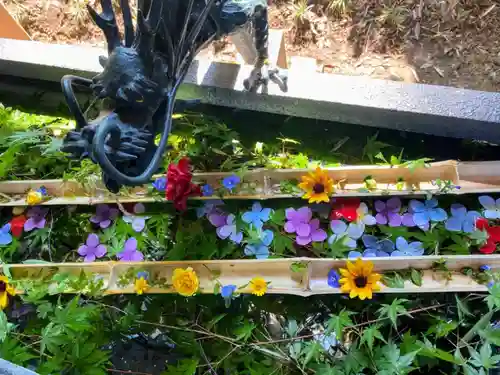 下野 星宮神社の手水舎