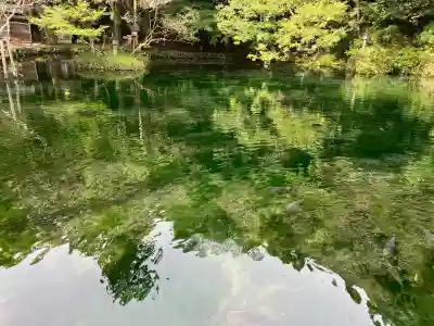 磯山弁財天(栃木県)