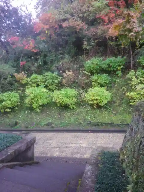 長壽寺(長寿寺)の自然