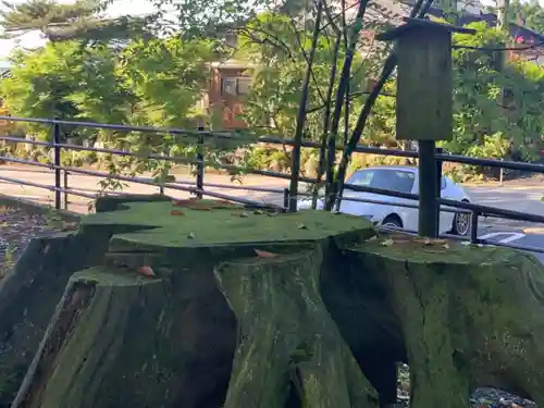 浅間神社の自然