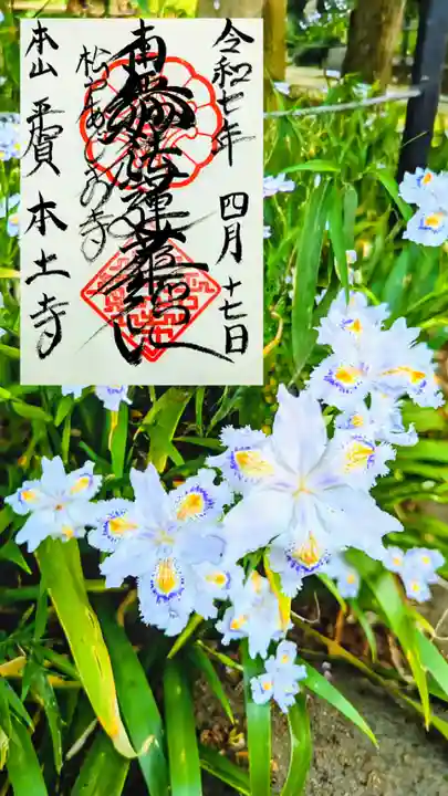 本土寺の御朱印