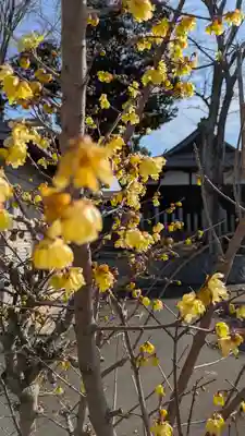 玉田神社(京都府)