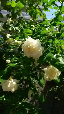 蔵前神社(東京都)