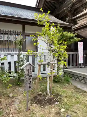 大洗磯前神社(茨城県)