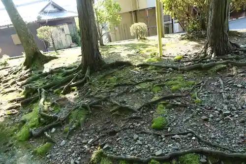 那波加神社の自然