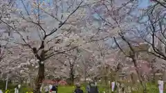 平野神社の庭園