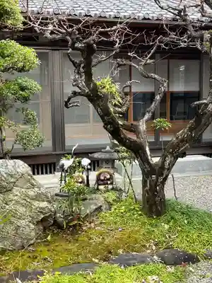 教善寺(滋賀県)