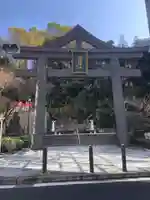 日枝神社の鳥居