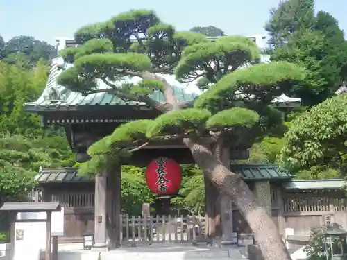 長谷寺の山門