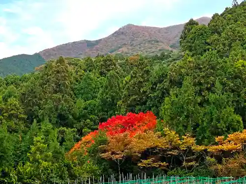 雷神社の景色