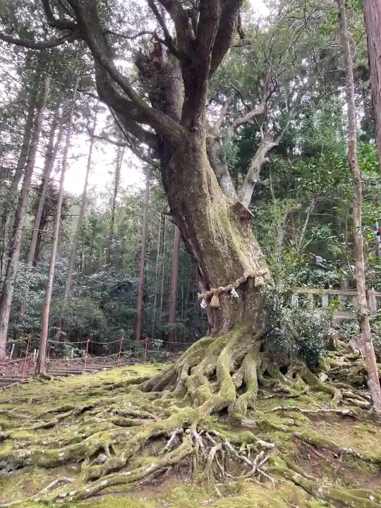 赤猪岩神社の{uncategorized: "未分類", other: "その他", undefined: "問題あり", building: "その他建物", grave: "お墓", sacred_gate: "鳥居", guardian: "狛犬", statue: "像", buddha: "仏像", history: "歴史", nature: "自然", garden: "庭園", animal: "動物", pagoda: "塔", temizu: "手水舎", mountain_gate: "山門・神門", sanctuary: "本殿・本堂", subordinate: "末社・摂社", art: "芸術", scenery: "景色", jizo: "地蔵", ema: "絵馬", goshuin: "御朱印", omikuji: "おみくじ", items: "授与品その他", amulet: "お守り", goshuincho: "御朱印帳", eats: "食事", festival: "お祭り", votive_dance: "神楽", shichigosan: "七五三参", wedding: "結婚式", experience: "体験その他", initially: "初詣", around: "周辺", anti_infection: "感染症対策"}